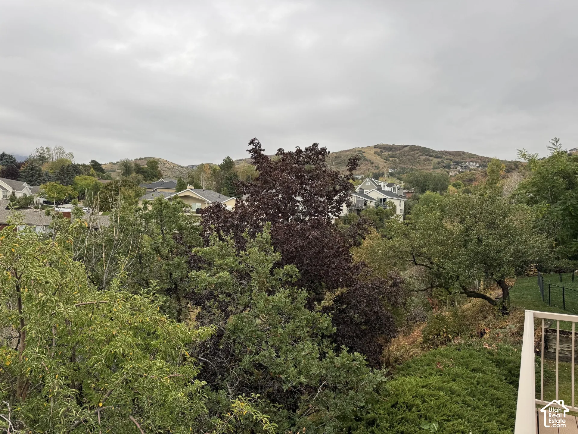 Elevated balcony with a beige metal railing overlooking mature trees, dense vegetation, and a mountain backdrop