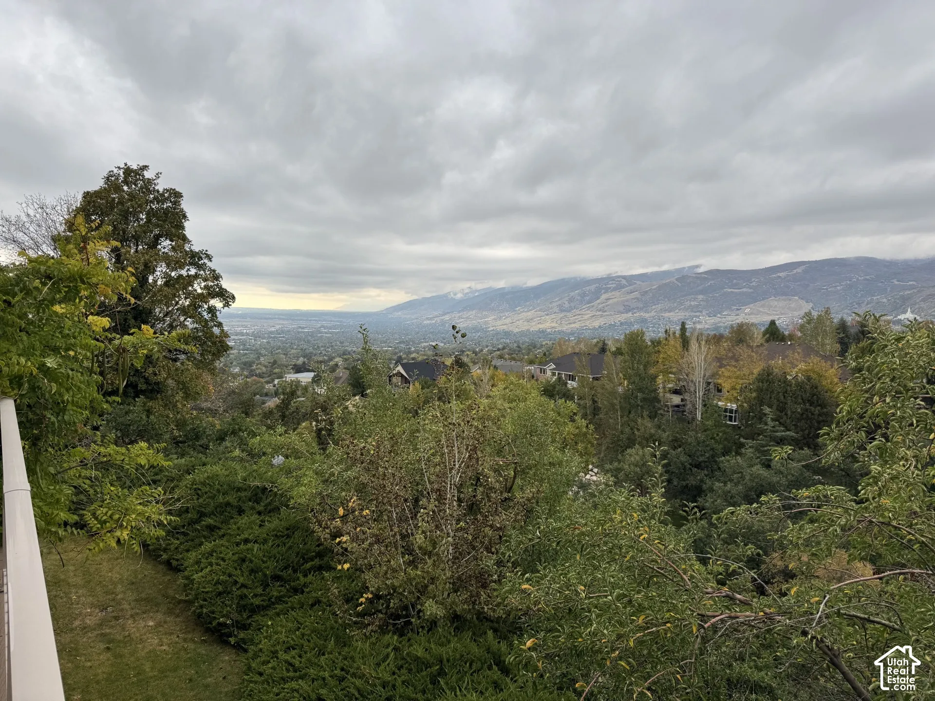 Expansive landscape featuring mature trees, layered shrubbery, and mountain range scenery