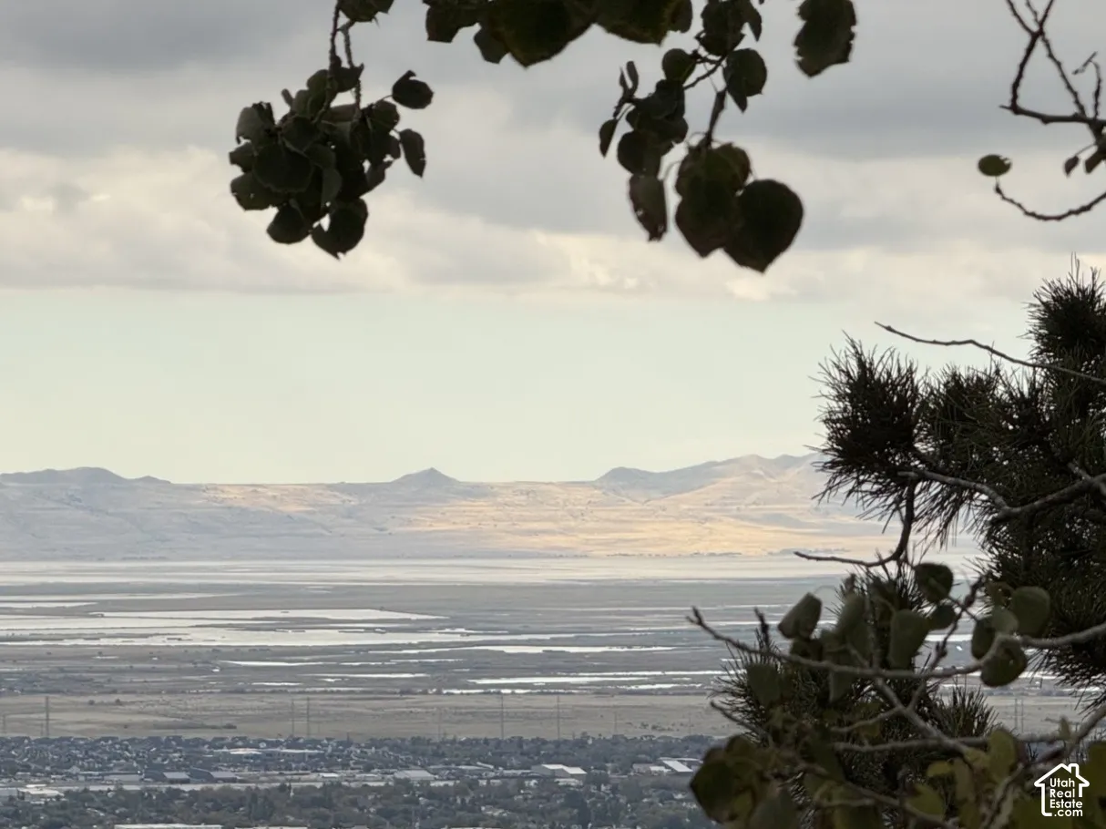Panoramic valley and mountain scenery featuring mature trees and expansive landscape surroundings