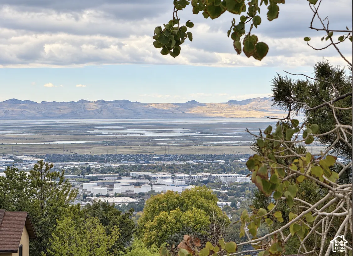 Elevated mountain and valley scenery featuring expansive topographical horizons and mature evergreen foliage