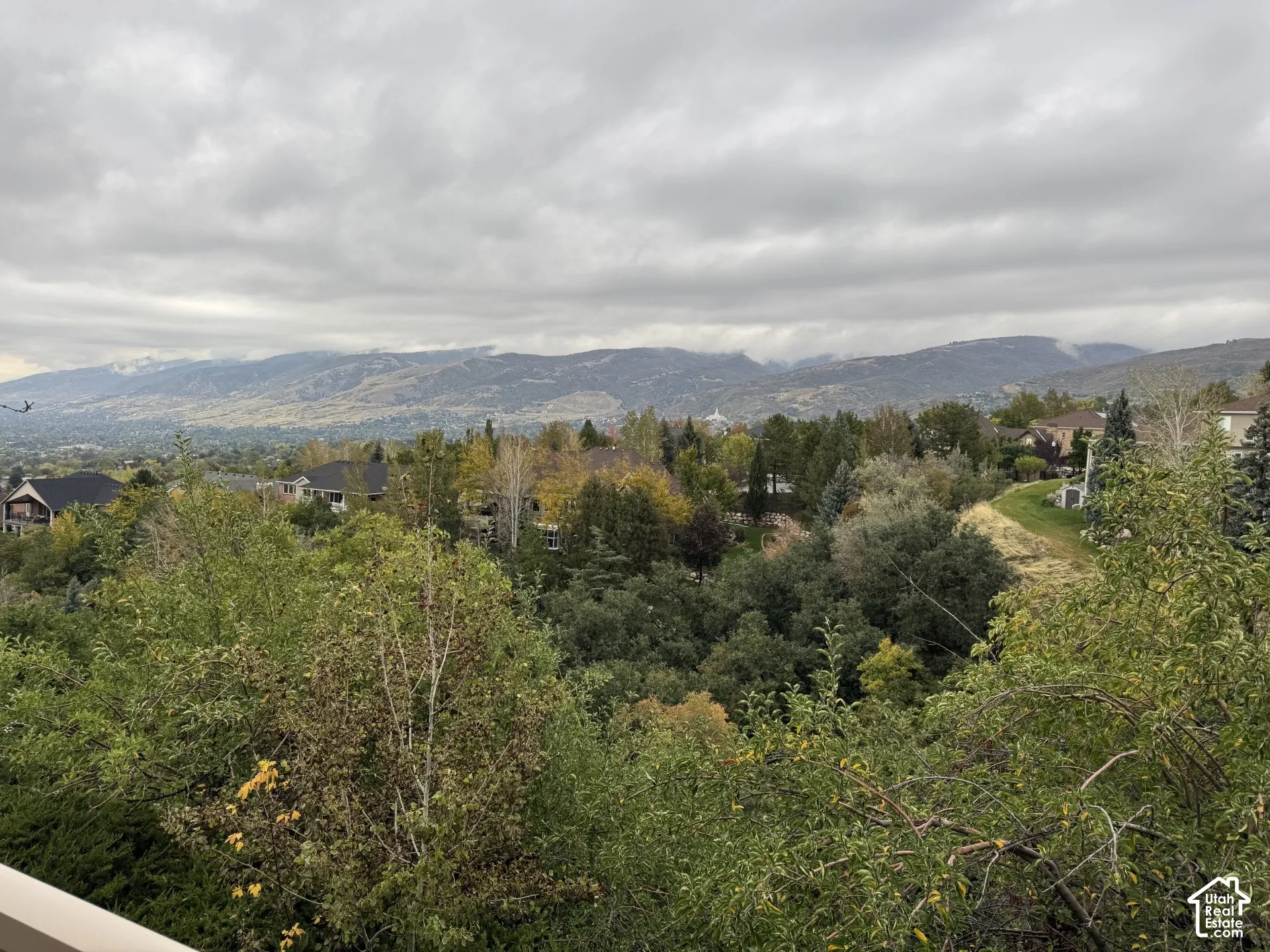 Expansive mountain scenery featuring mature trees and varied vegetation