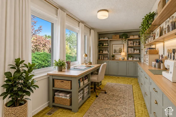 Built-in cabinetry and shelving, extensive wood-finish countertops, multiple large windows, and a flush mount ceiling light