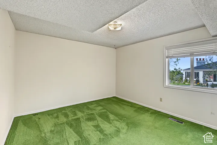 Light-filled interior space featuring a window with white blinds, neutral wall paint, green carpeting, and a flush-mount ceiling light