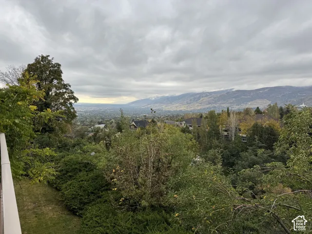 Expansive landscape featuring mature trees, layered shrubbery, and mountain range scenery