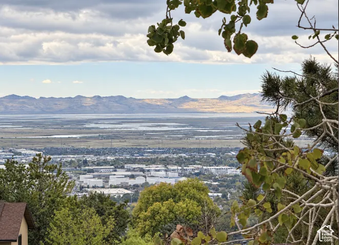 Elevated mountain and valley scenery featuring expansive topographical horizons and mature evergreen foliage