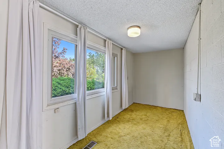 Multiple windows with exterior landscaping