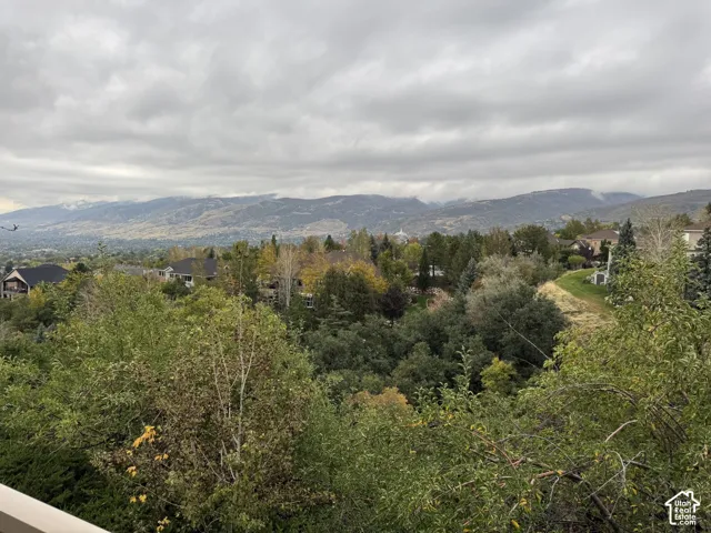 Expansive mountain scenery featuring mature trees and varied vegetation