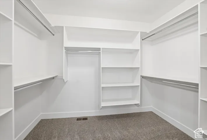 Walk-in closet with built-in shelving, hanging rods, and carpeting