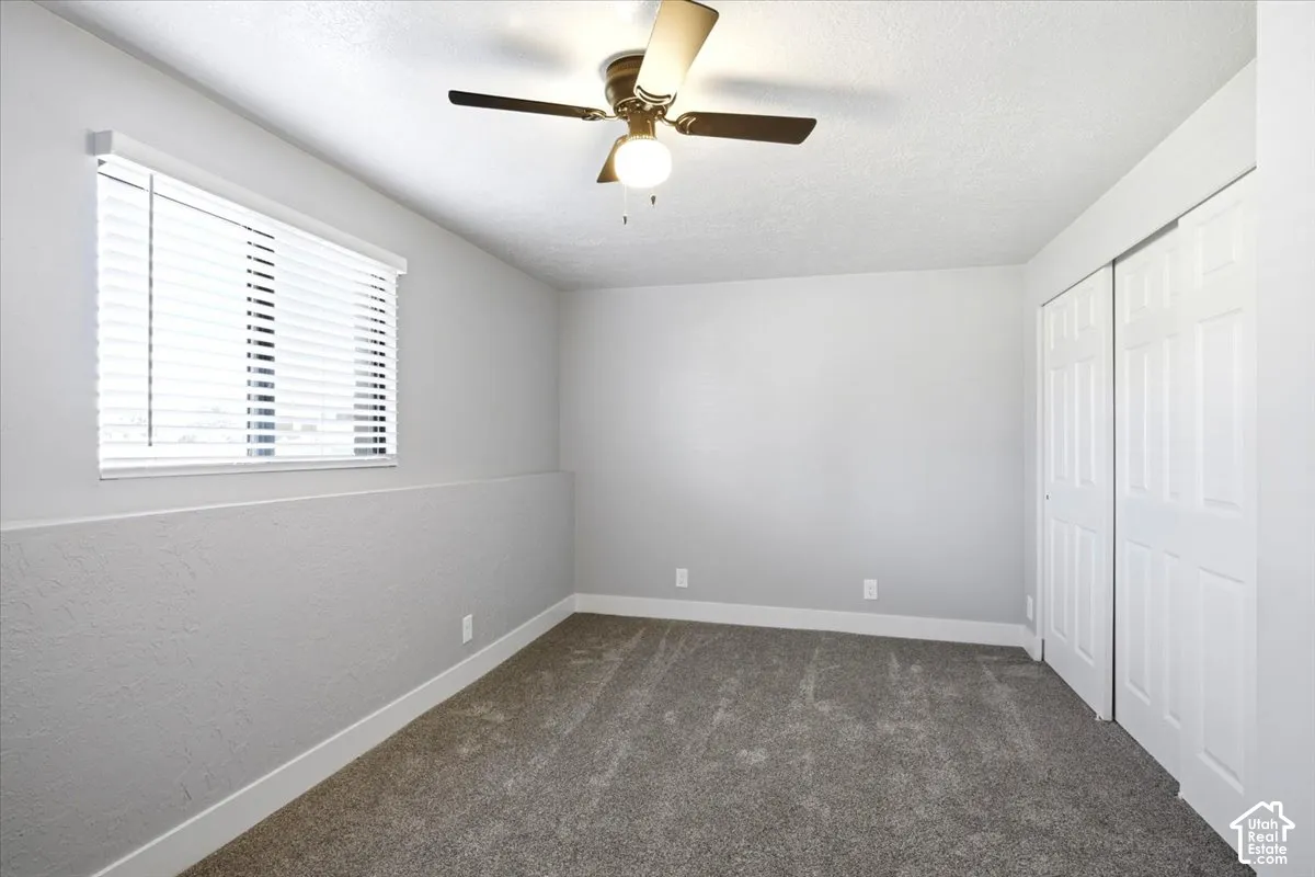 Textured walls with a two-tone paint finish, neutral carpeting, window with blinds, and white bi-fold closet doors