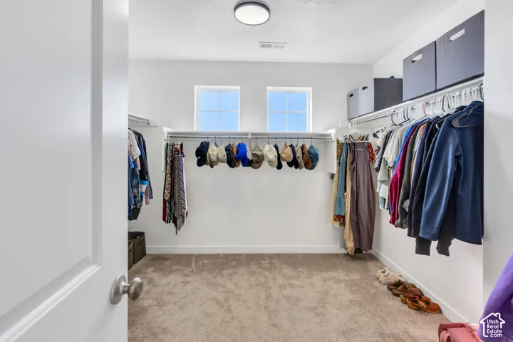 Spacious walk-in closet with carpet flooring, twin windows, and built-in shelving