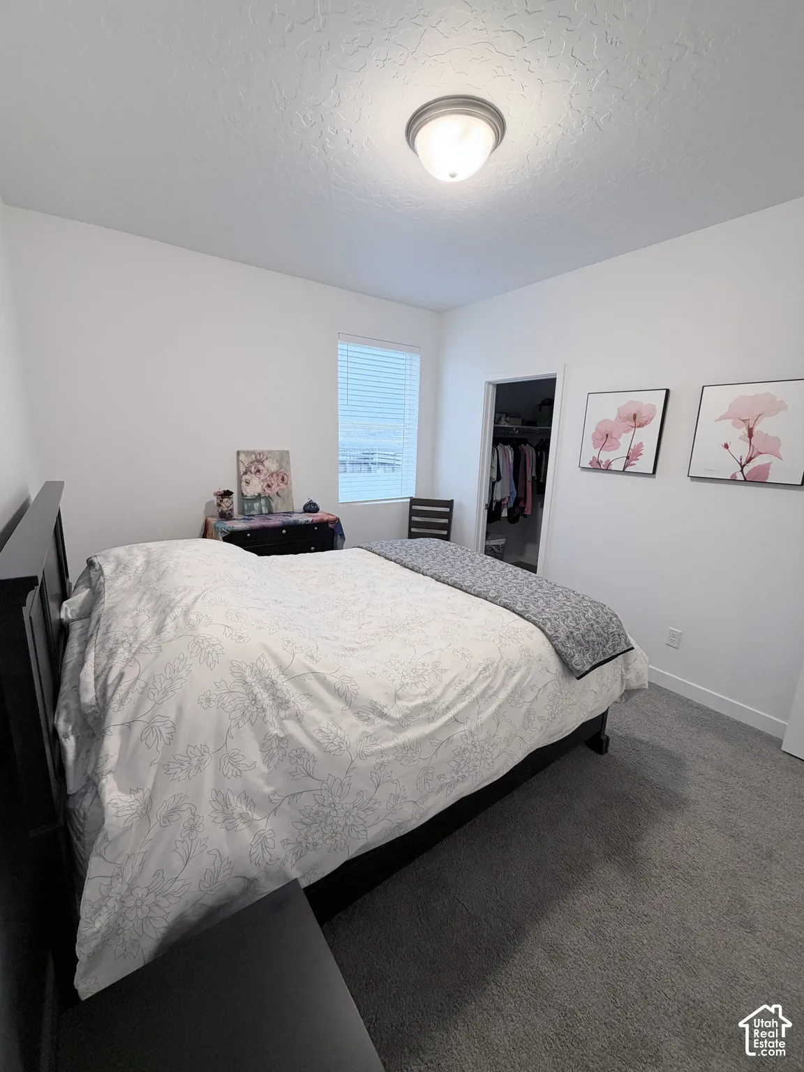 Recessed window with horizontal blinds, overhead flush mount lighting, plush gray carpet, and an integrated closet