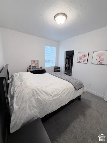 Recessed window with horizontal blinds, overhead flush mount lighting, plush gray carpet, and an integrated closet