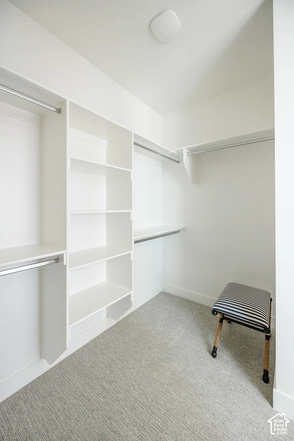 Wall-to-wall carpeting with built-in shelving, hanging rods, and a ceiling-mounted light fixture