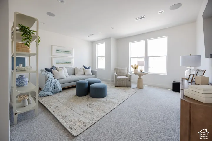 Recessed lighting, multiple windows, built-in shelving, carpet flooring, and a flat-panel television mount