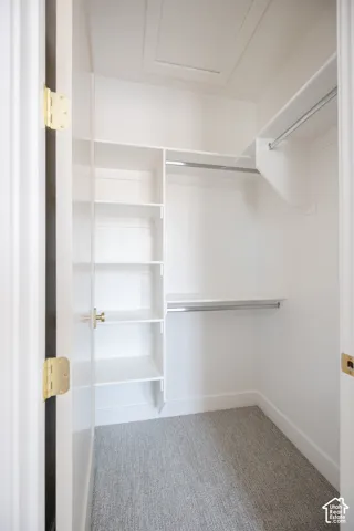 Built-in shelving, two clothing rods, and light gray carpeting