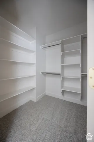 Walk-in closet featuring extensive built-in shelving, hanging rods, and light gray carpeting