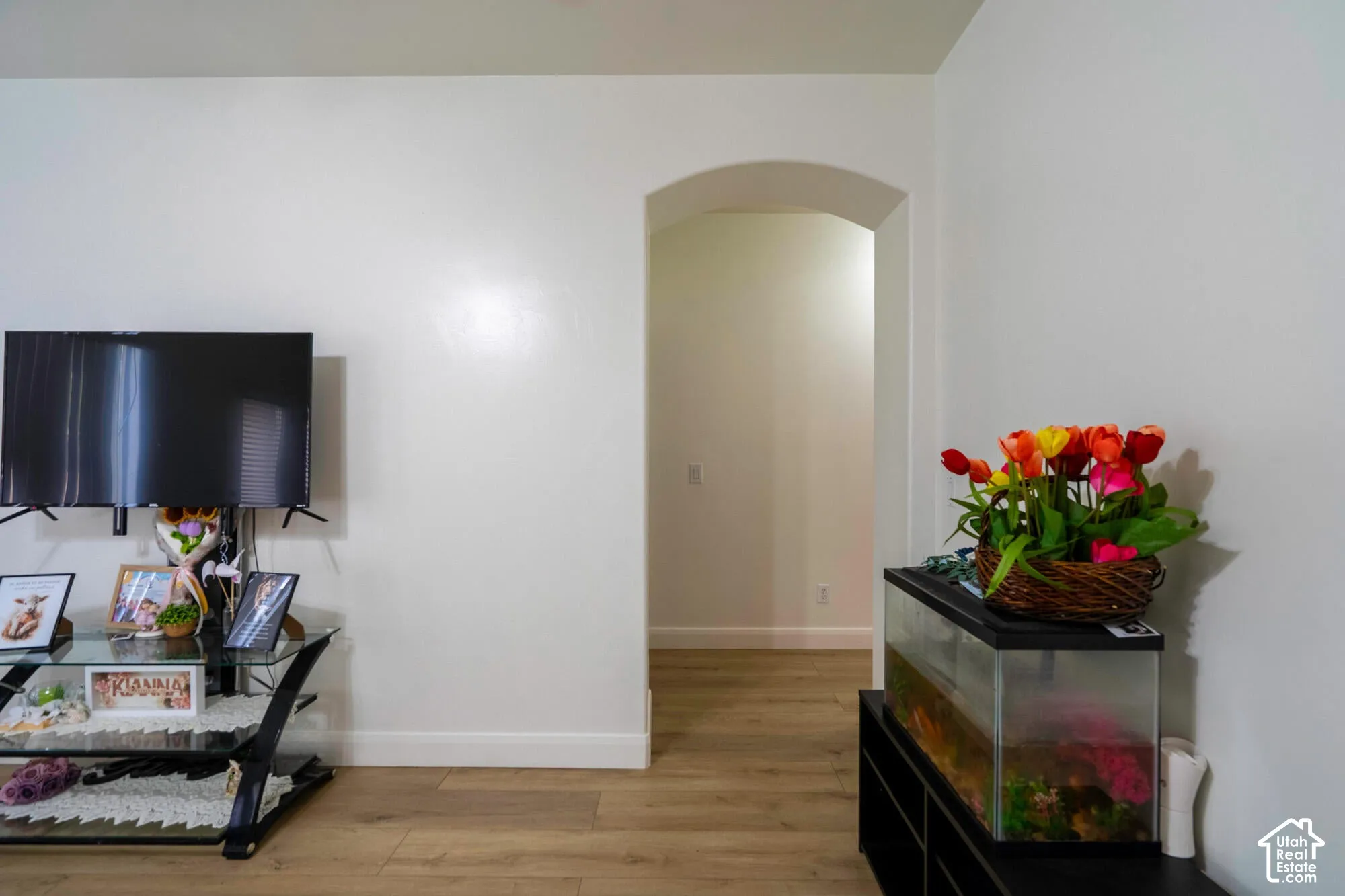 Wood-finish flooring, white painted walls, and an arched doorway
