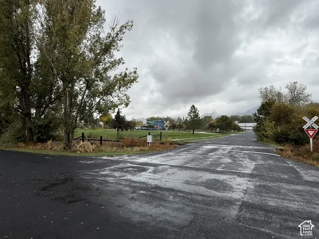Asphalt roadway with marked railroad crossing and surrounding mature trees