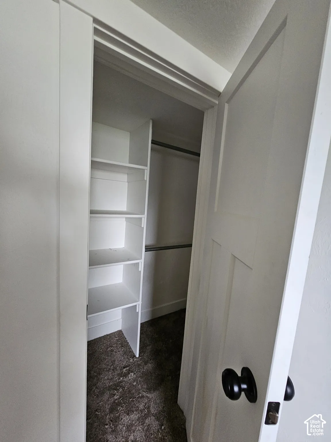 Built-in shelving, hanging rod, panel door, and dark carpet flooring