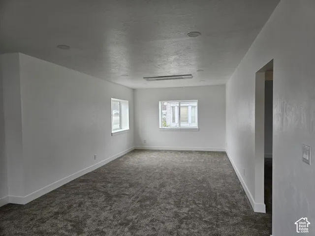 Recessed ceiling lighting, white painted walls, two windows, wall-to-wall carpeting, and bright overhead lighting