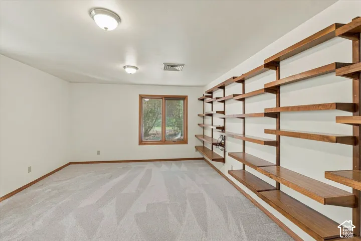 Carpeted room with a window, two flush-mount ceiling lights, and extensive built-in shelving
