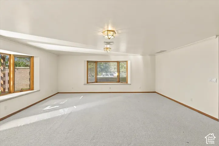 Expansive interior space featuring light-toned carpeting, multiple windows with wood-finish frames, crown molding, and flush-mount ceiling light fixtures