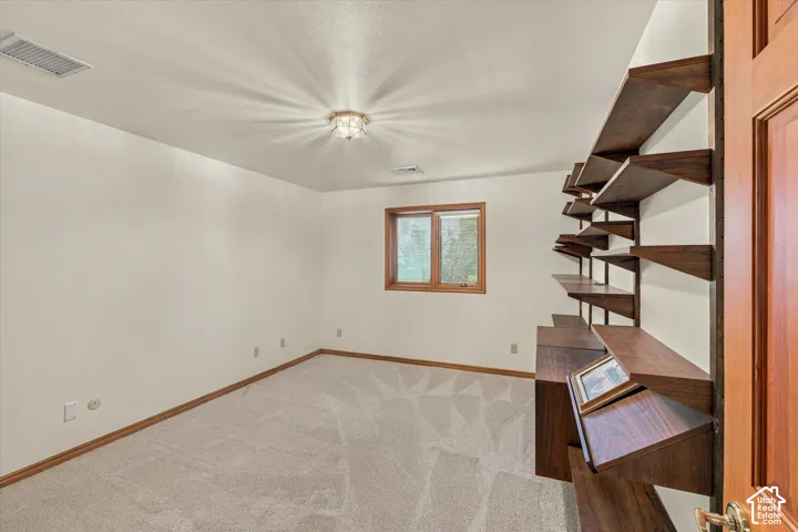 Built-in wood shelving, textured carpeting, wood-trimmed window, ceiling-mounted light fixture, and wood baseboards