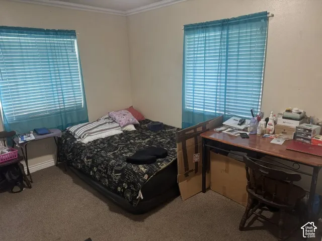 Carpeted room with two windows, crown molding, and wall-to-wall carpeting