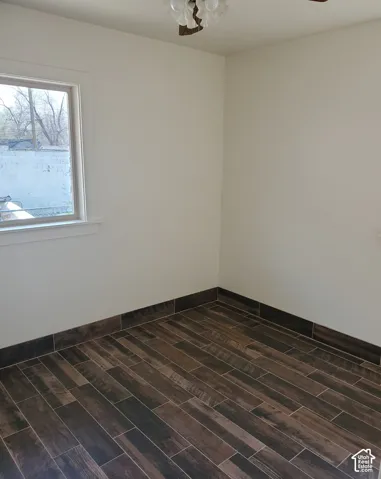 Wood-look tile flooring with a dark finish, light-toned wall paint, and a ceiling-mounted light fixture