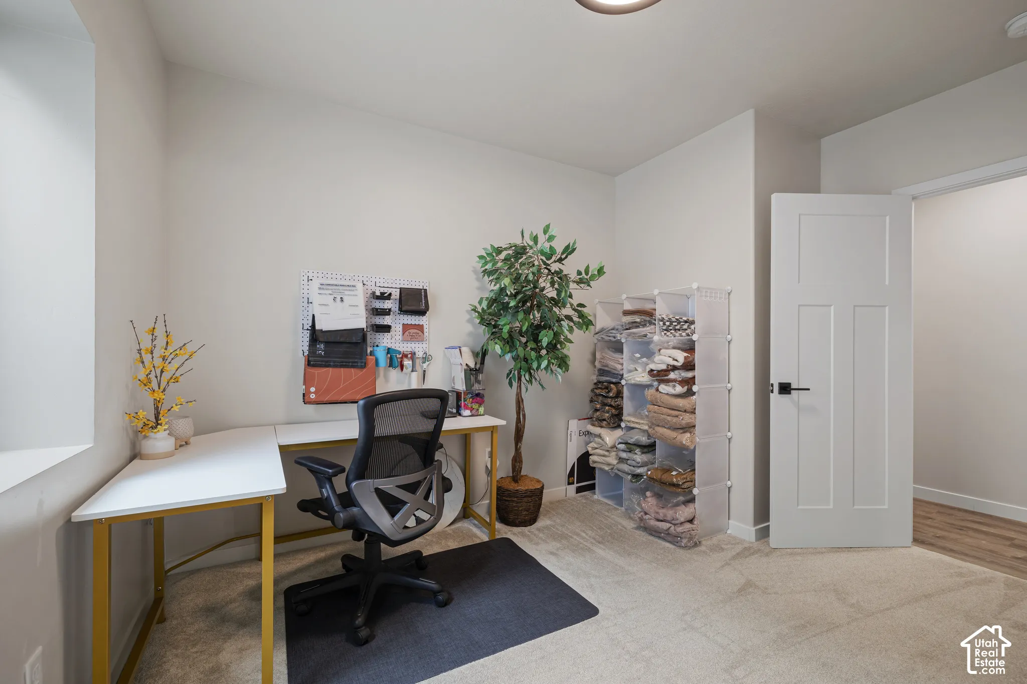 Light-colored carpeting, white interior walls, and a white interior door with dark hardware