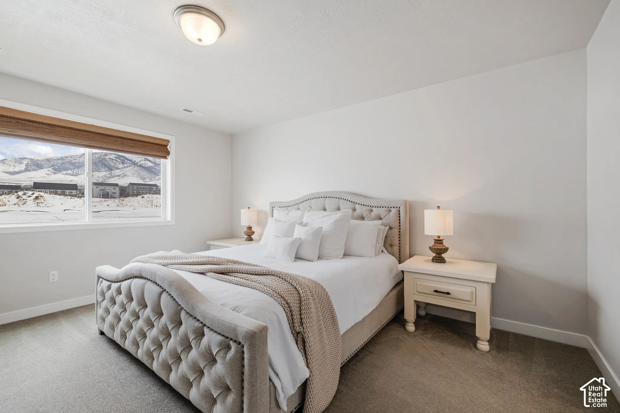 Carpeted flooring, neutral wall tones, and a window with mountain scenery