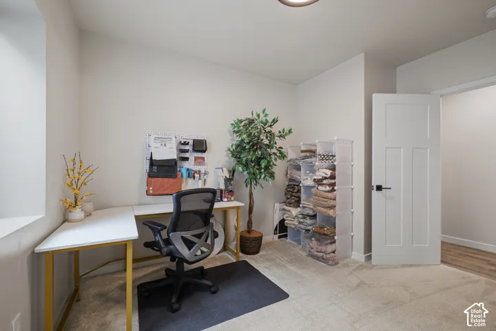 Light-colored carpeting, white interior walls, and a white interior door with dark hardware