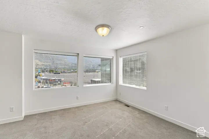 Spacious room with light gray carpeting, three large windows, a flush-mount ceiling light fixture, and white wall finishes