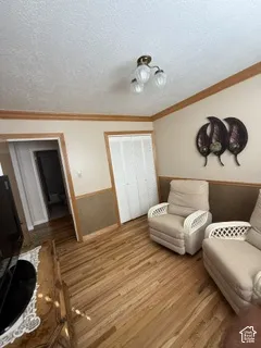 Wood-finish flooring with accent wall paneling