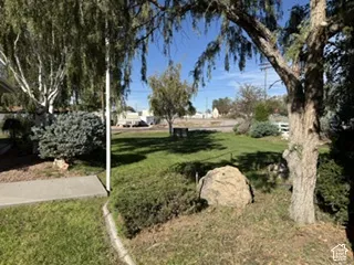 Expansive green lawn with mature trees and varied shrubbery