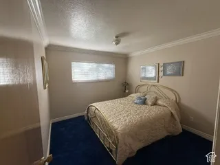 Bedroom featuring a metal bed frame, neutral wall finishes, horizontal window with natural light, and dark wood-finish flooring accented by blue carpeting