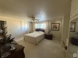 Recessed window with sheer privacy coverings, ceiling fan with integrated lighting, and neutral tone carpeting