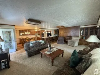 Carpeted living area with textured ceiling and wooden trim