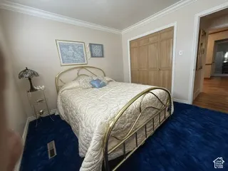 Crown molding, light-toned wall paint, wood-finish closet doors, and plush blue carpeting