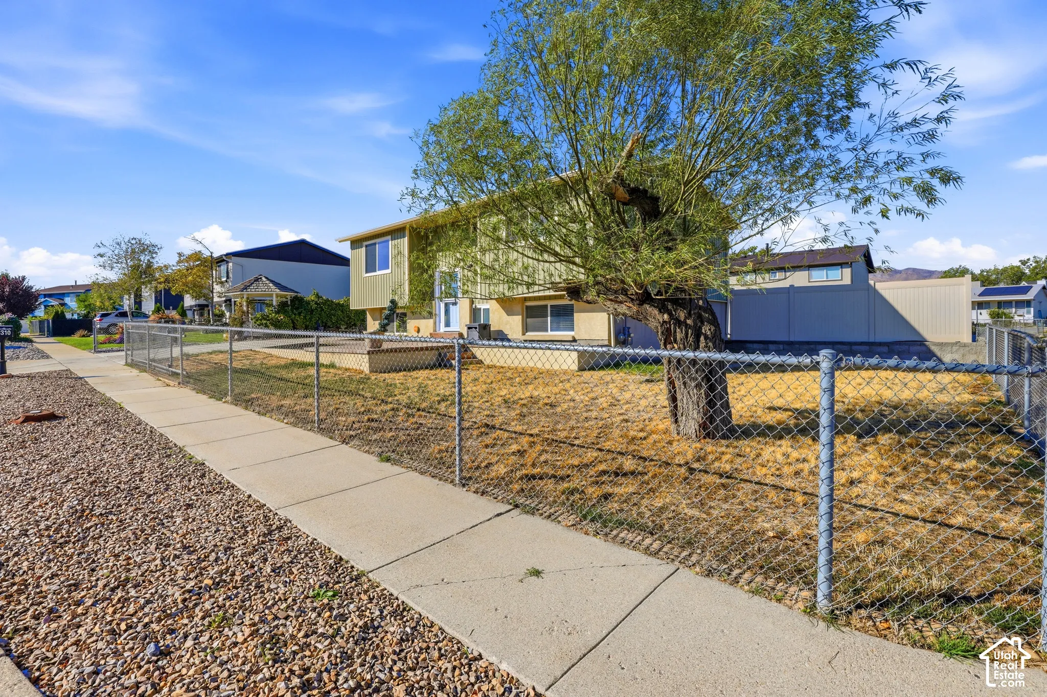 Chain-link fencing encloses the front yard, featuring a mature tree