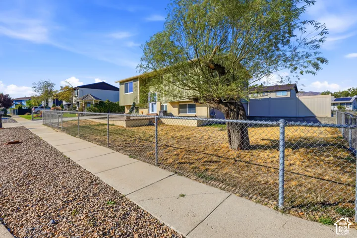 Chain-link fencing encloses the front yard, featuring a mature tree