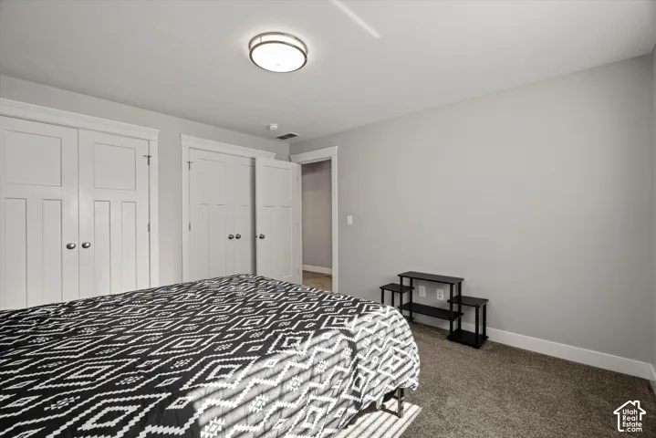 Neutral wall paint, two paneled closet doors, flush-mount ceiling light fixture, and carpet flooring