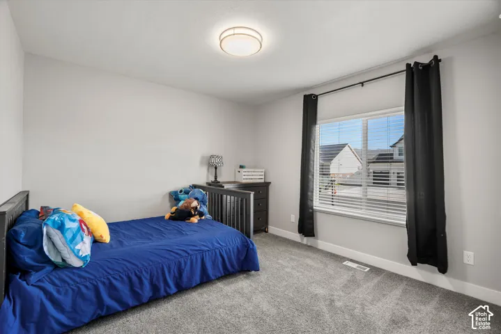 Carpeted flooring, recessed window, window blinds, ceiling-mounted light fixture, wall-to-wall carpeting