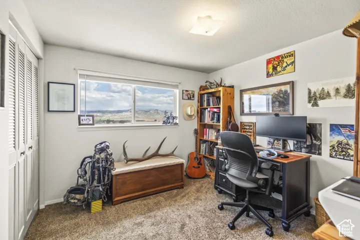 Built-in louvered closet doors, carpeted flooring, and a flush mount ceiling light fixture