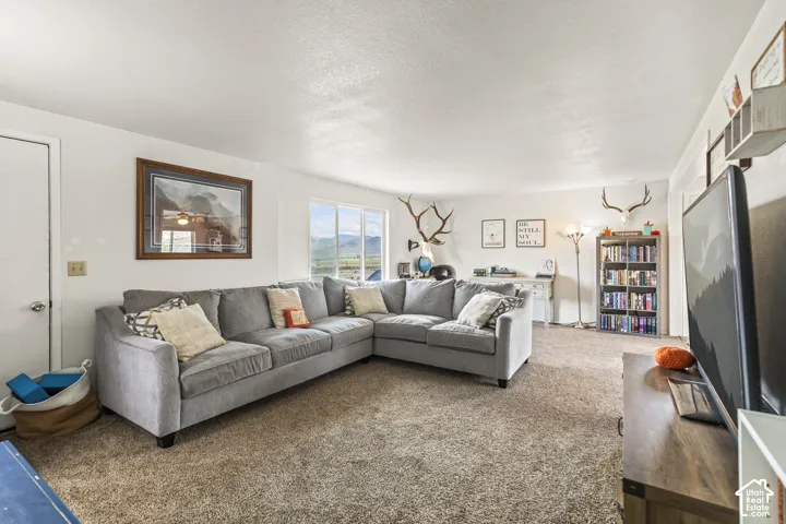 Expansive carpeted living area with white walls and a white ceiling