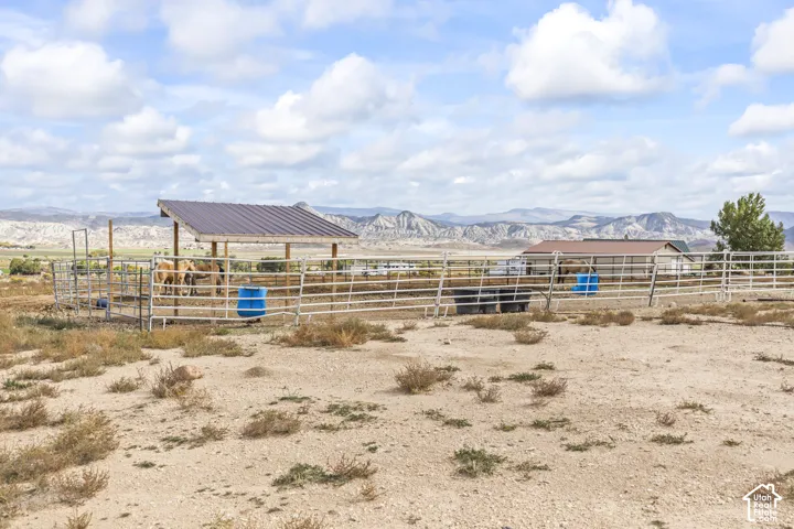 Enclosed animal pens with metal fencing, an open-sided shelter featuring a metal roof, and a distant structure with a metal roof
