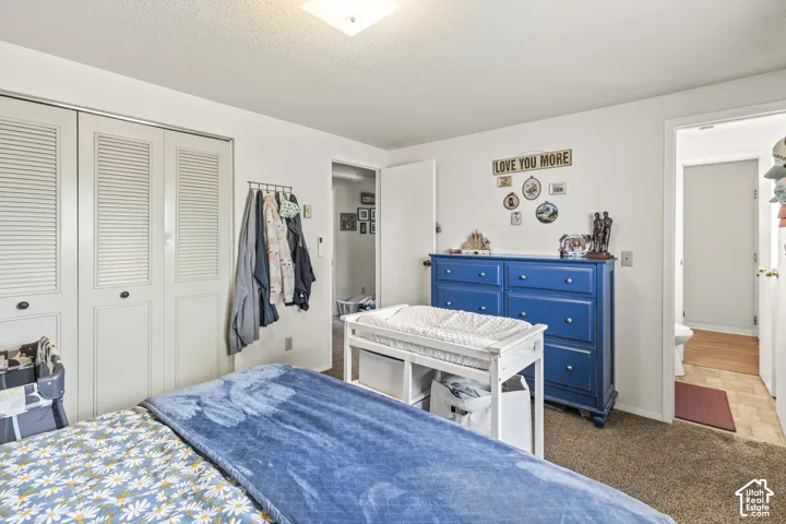 White walls with textured ceilings, louvered bi-fold closet doors, and carpet flooring