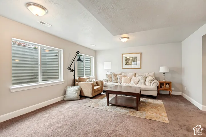 Basement living area with great natural light