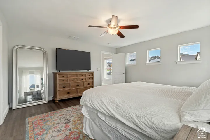 Spacious primary bedroom with excellent natural light