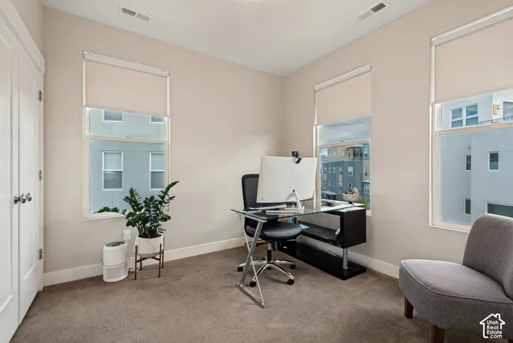 Soft neutral wall paint, two large windows, roller shades, light-colored carpet, and a white interior door